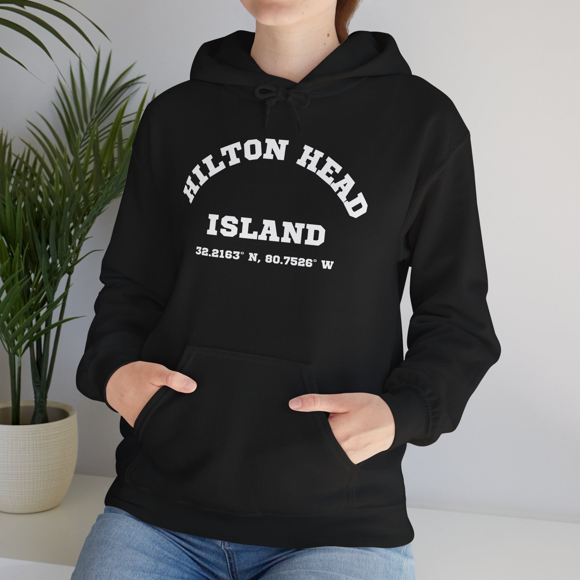 Hilton Head Lat/Long Unisex Heavy Blend™ Hooded Sweatshirt