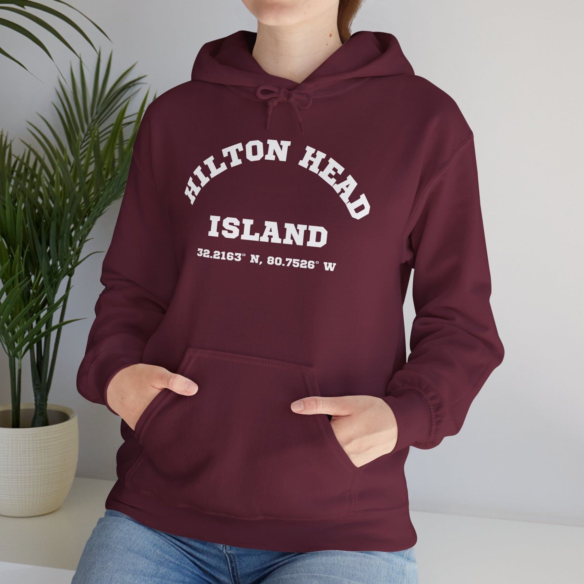 Hilton Head Lat/Long Unisex Heavy Blend™ Hooded Sweatshirt