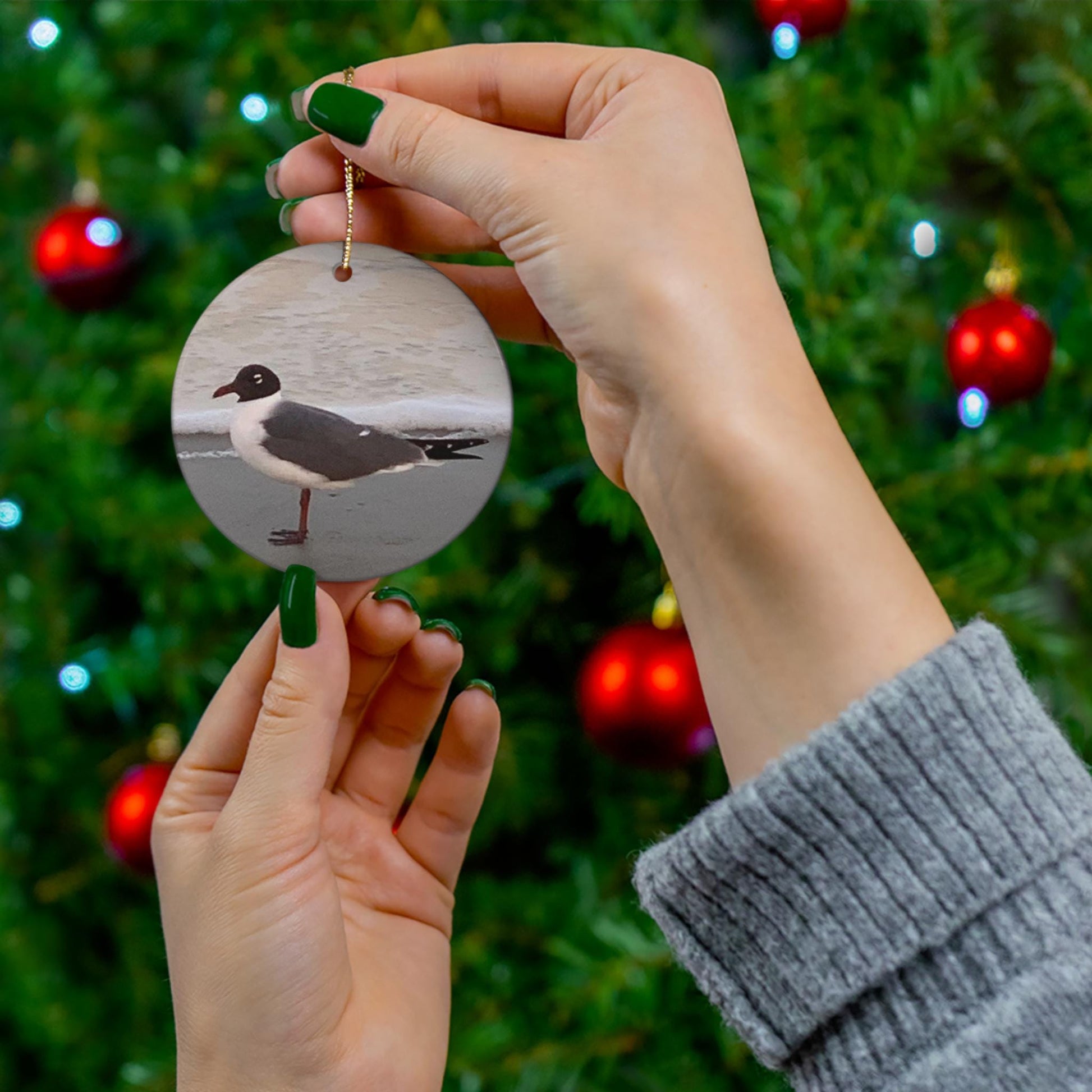 Christmas Ornament, Laughing Gull On the Shore of Burke's Beach on Hilton Head Island