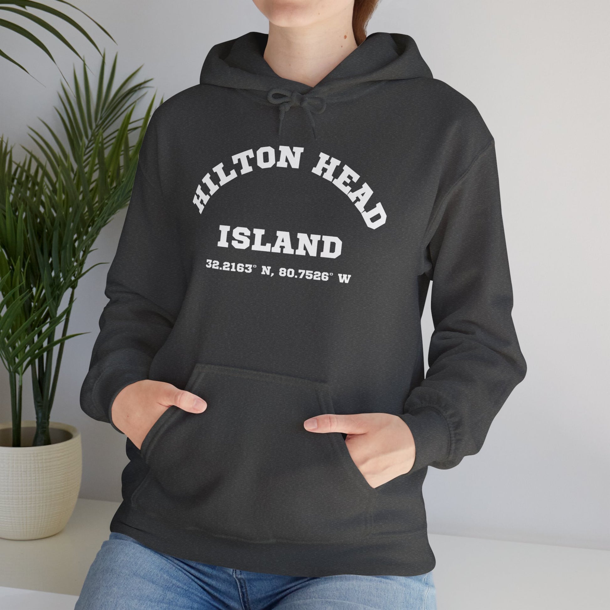 Hilton Head Lat/Long Unisex Heavy Blend™ Hooded Sweatshirt