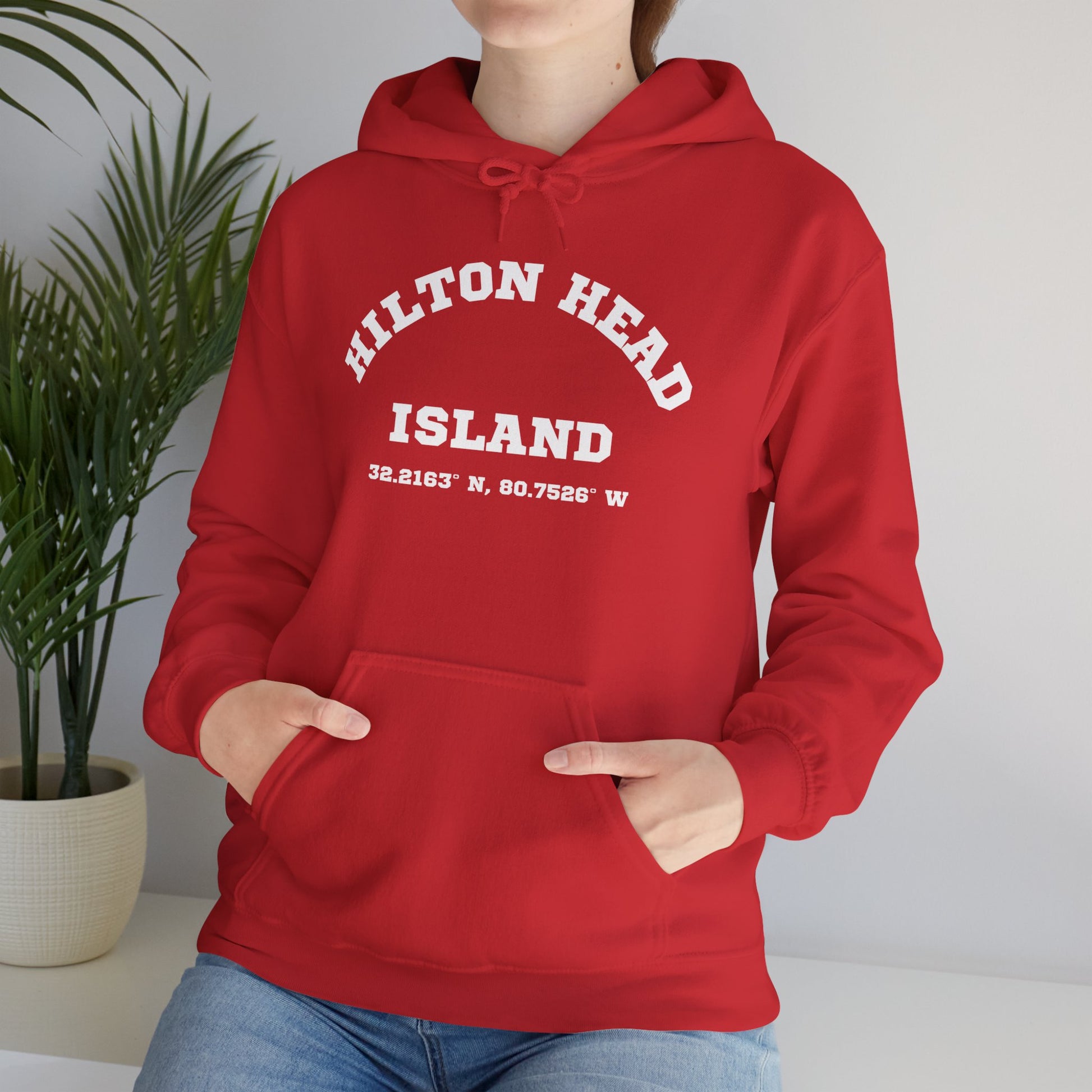 Hilton Head Lat/Long Unisex Heavy Blend™ Hooded Sweatshirt