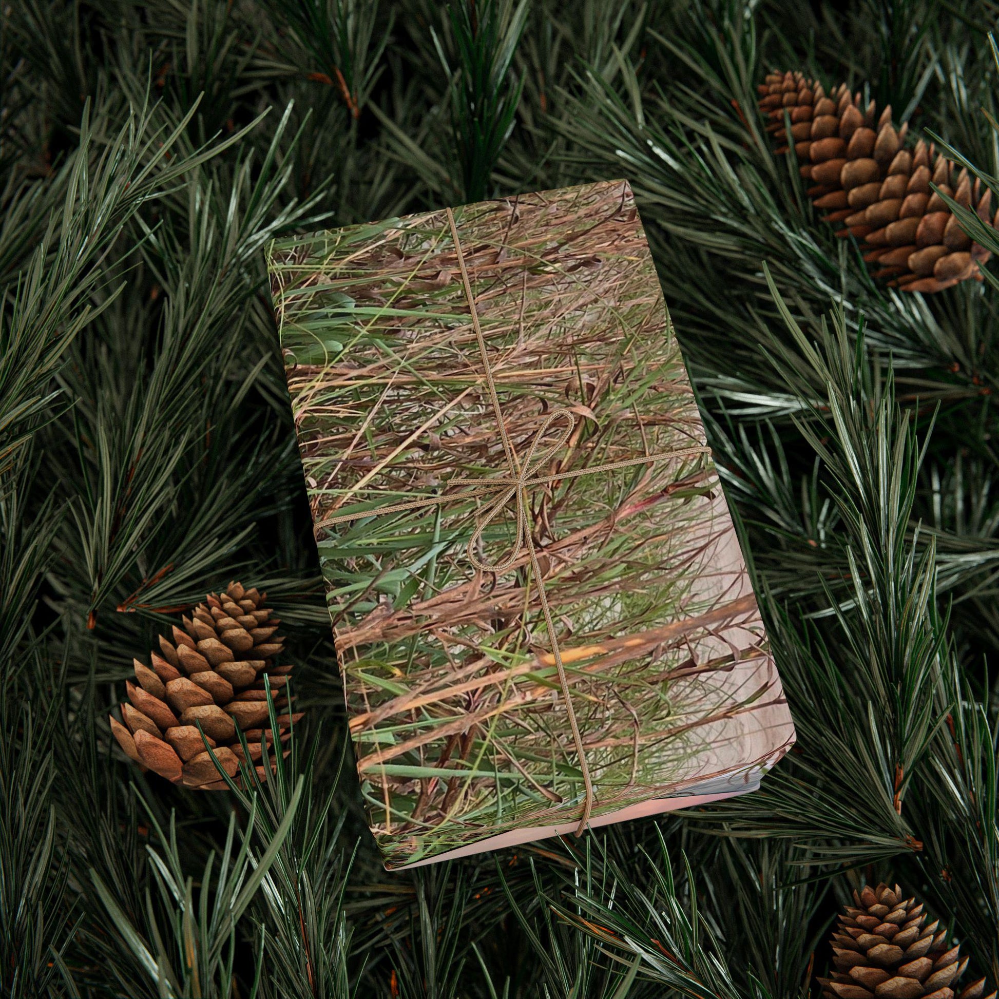 Gift Wrap, Sunset and Dunes
