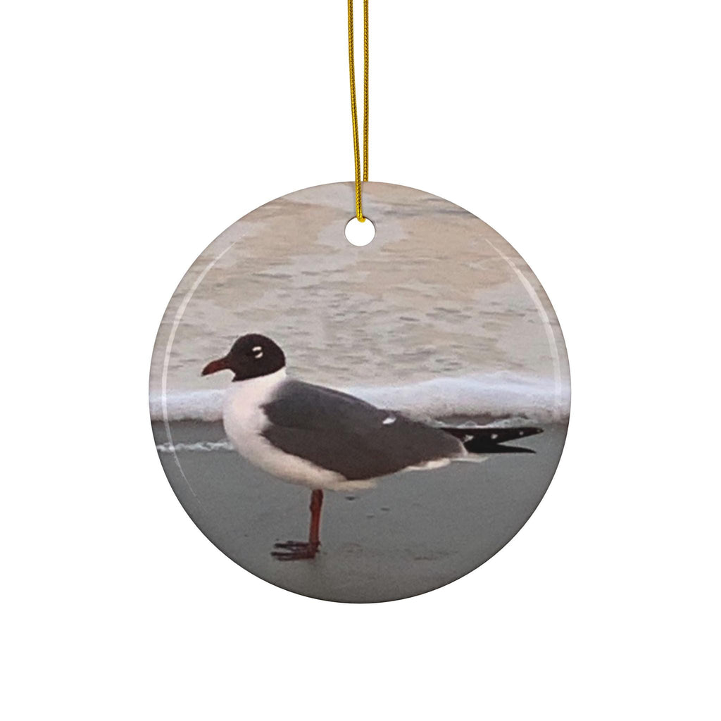 Christmas Ornament, Laughing Gull On the Shore of Burke's Beach on Hilton Head Island