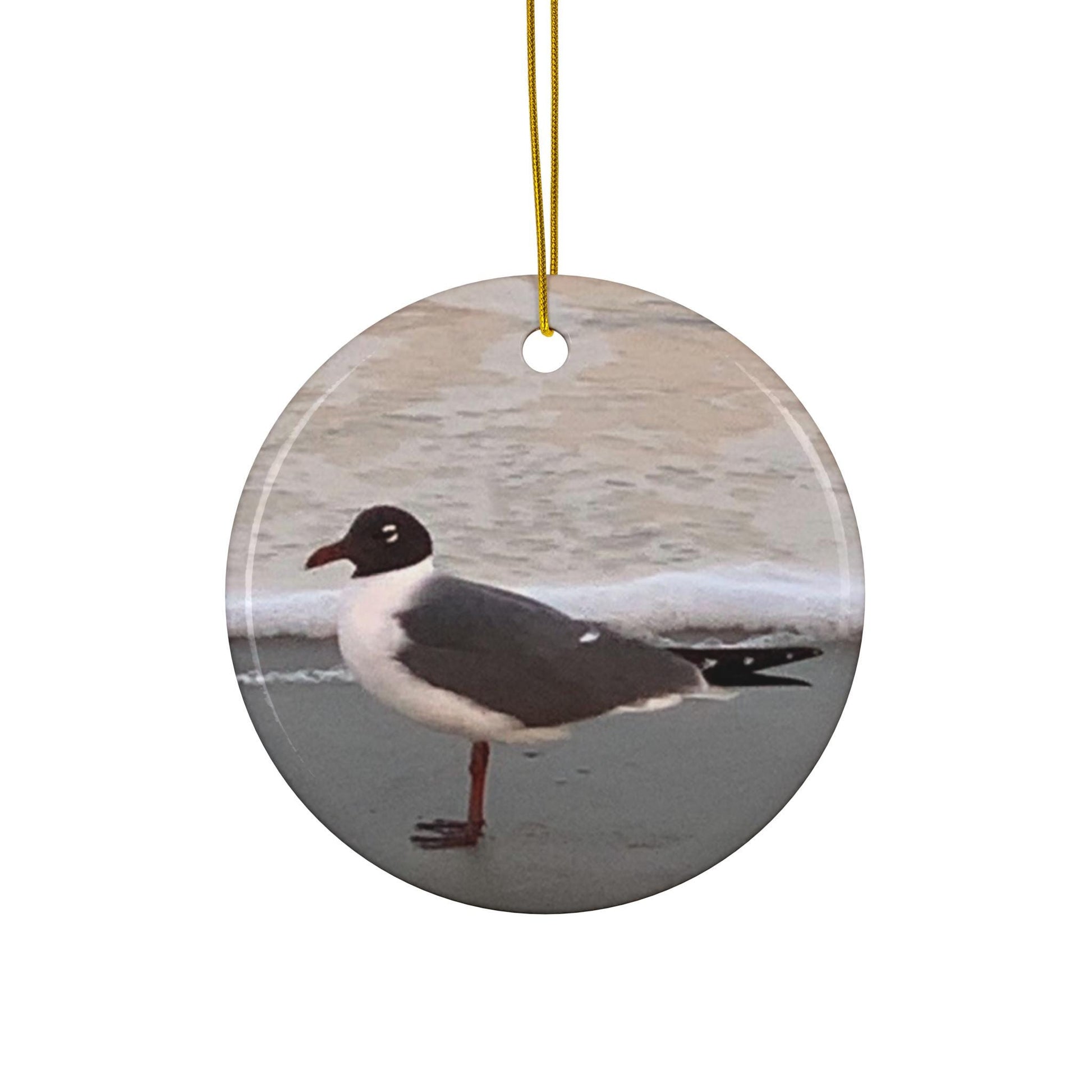 Christmas Ornament, Laughing Gull On the Shore of Burke's Beach on Hilton Head Island