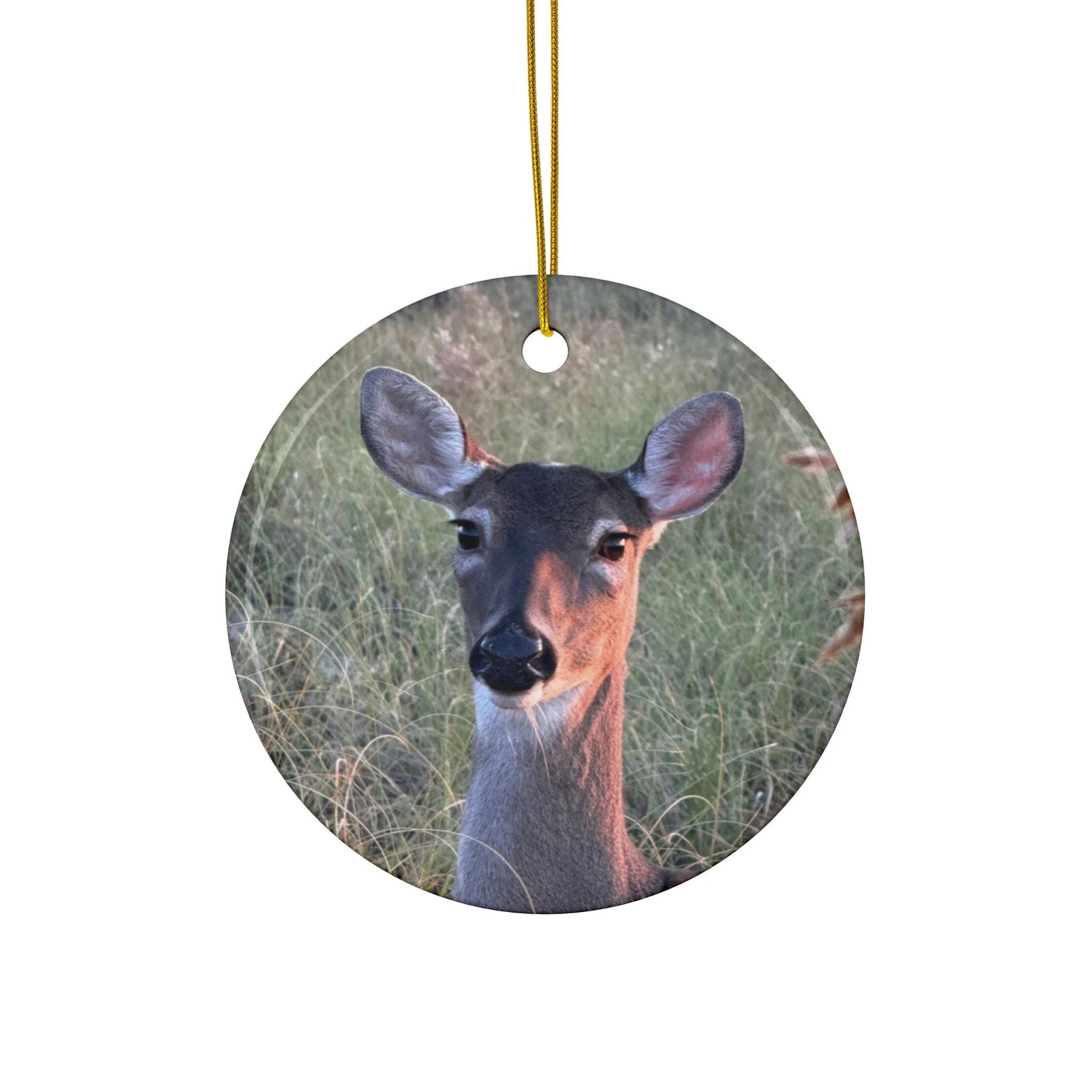 Christmas Ornament, Featuring a doe in the dunes on the beach at Hilton Head Island